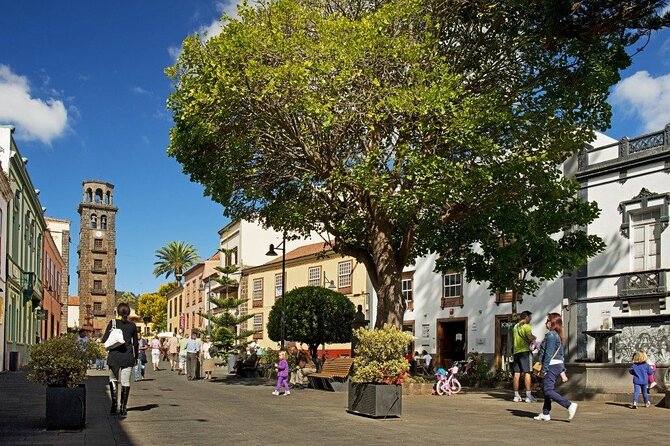 Full Day Tour of Santa Cruz and San Cristóbal de La Laguna - Stop 2: San Cristóbal de La Laguna—old-town streets and the market buzz