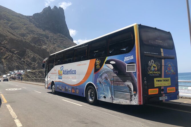 Full day tour visiting Santa Cruz, La Laguna and Anaga - Santa Cruz de Tenerife: Capital City Stop (About 1 Hour)