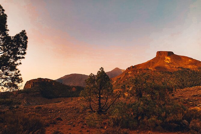 Full Day Tour with Certified Guide in Tenerife - How the day feels: guide personality, language, and group energy