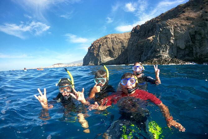 Fun Dive With Scuba Point in Los Cristianos - Gear, Wetsuits, and Comfort: Included Items That Add Real Value