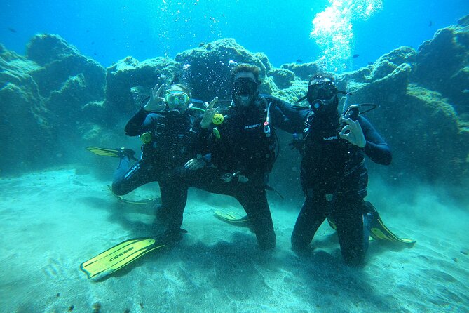 Fun Dive With Scuba Point in Los Cristianos - How the 2-Hour Experience Really Unfolds