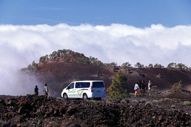 Get to know the Teide National Park and the south of Tenerife on a private tour - Meeting Teide at 8:00 with pickup from Los Cristianos