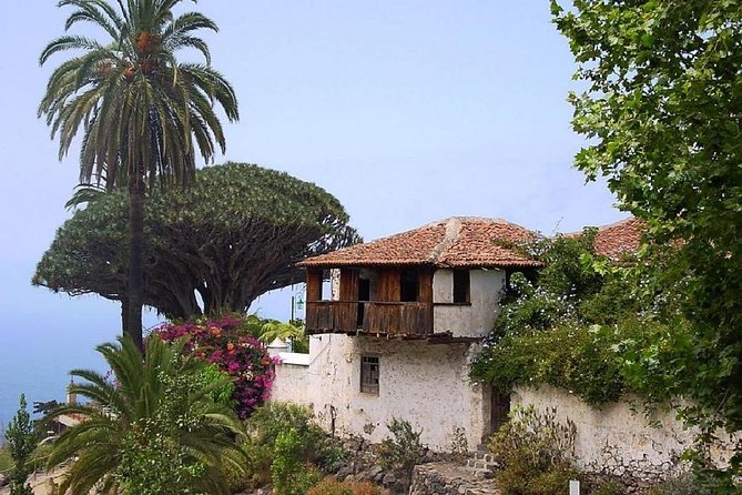 Go West - VIP Private Tour in Tenerife to Masca, Garachico and Icod - Natural Park of Teno: The Long Scenic Stretch