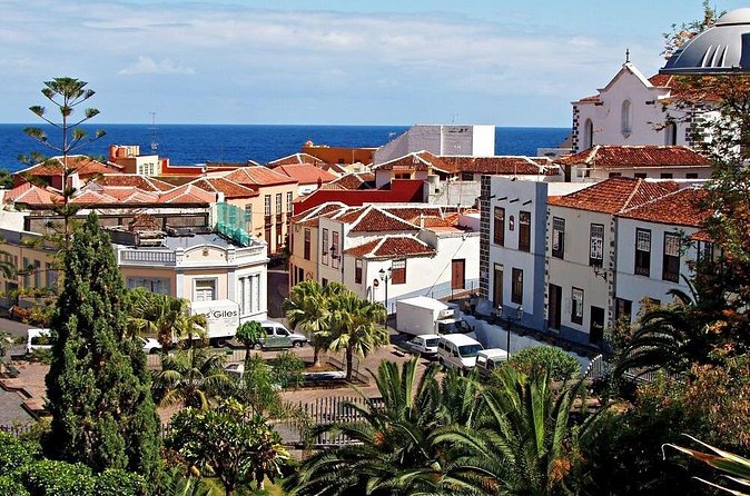Go West - VIP Private Tour in Tenerife to Masca, Garachico and Icod - Garachico: Lava History and a Town With Real Character