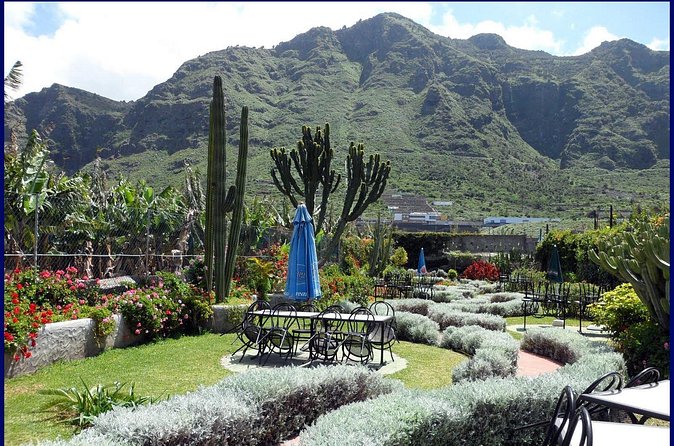 Go West - VIP Private Tour in Tenerife to Masca, Garachico and Icod - El Drago Milenario in Icod: Seeing One of the Oldest Trees