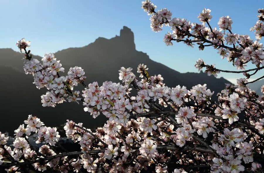 Gran Canaria Gran Tour - Key Things to Know Before You Go