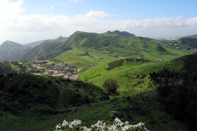 Grand Tour Tenerife - Full-Day Private VIP Tour - Garachico and the “Island’s Pompeii” Moment