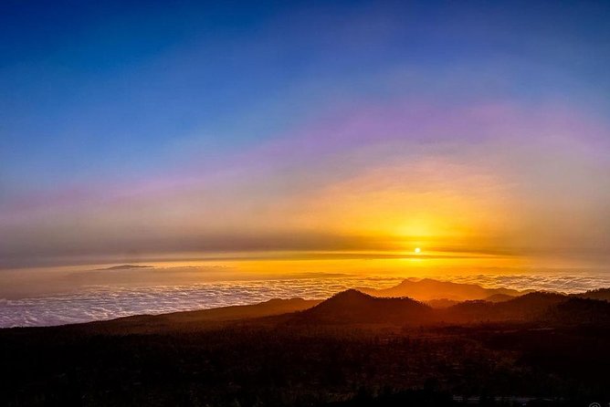 Grand Tour Tenerife - Full-Day Private VIP Tour - Parque Rural de Anaga: The Wild Corner With Walks