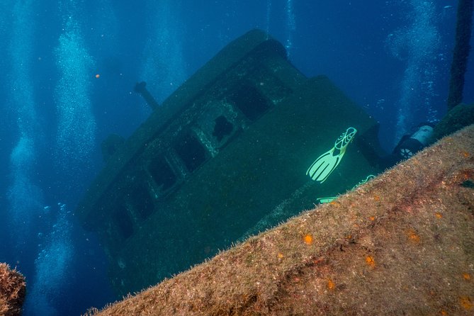 Guided Boat Dives for Certified Divers - Boat-to-water timing: how 6 hours usually plays out