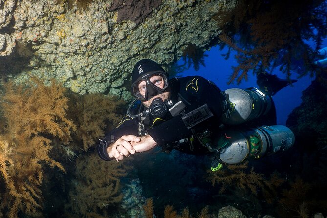 Guided Boat Dives for Certified Divers - Price and value: what $60.47 really means for your total cost