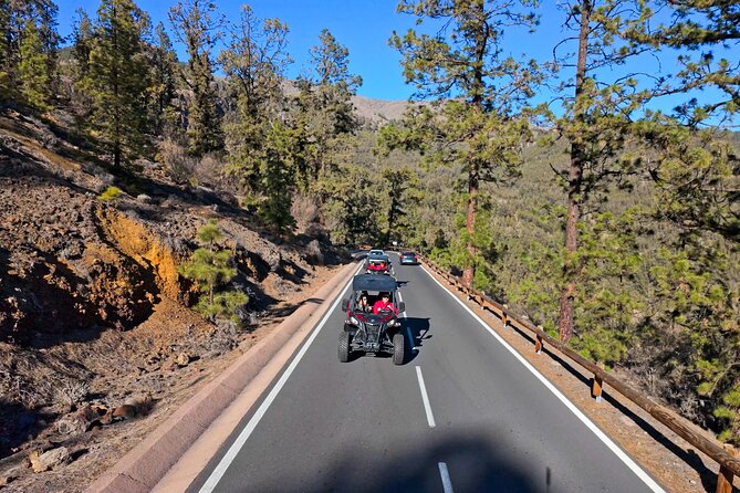 Guided Buggy Tour through Teide National Park - A buggy day in Teide National Park: what makes it special