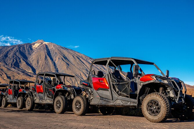 Guided Buggy Tour through Teide National Park - Buggy basics: what driving is really like on this route