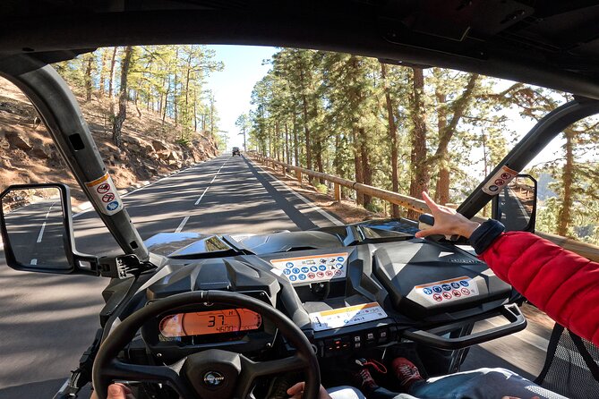 Guided Buggy Tour through Teide National Park - Group size and guidance: why the guide changes the experience