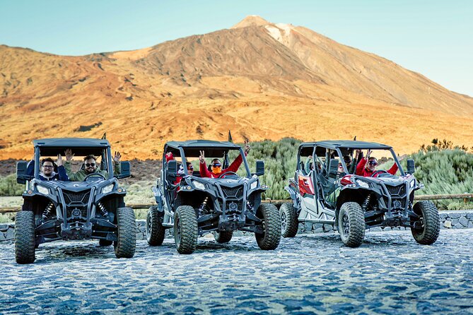 Guided Buggy Tour through Teide National Park - Price and value: what $232.33 per group gets you
