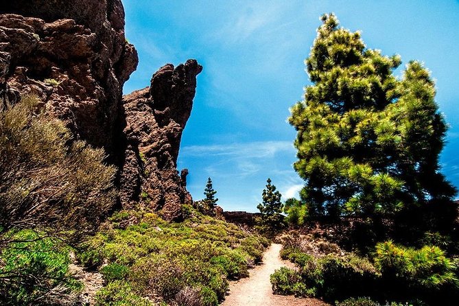 Guided Hike - The Tajinaste Trail - The included picnic break: energy without the hunt