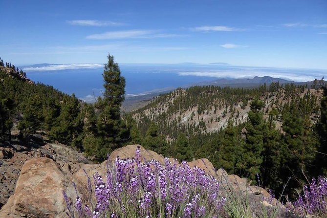 Guided Hike - The Tajinaste Trail - What to bring for a comfortable high-altitude hike