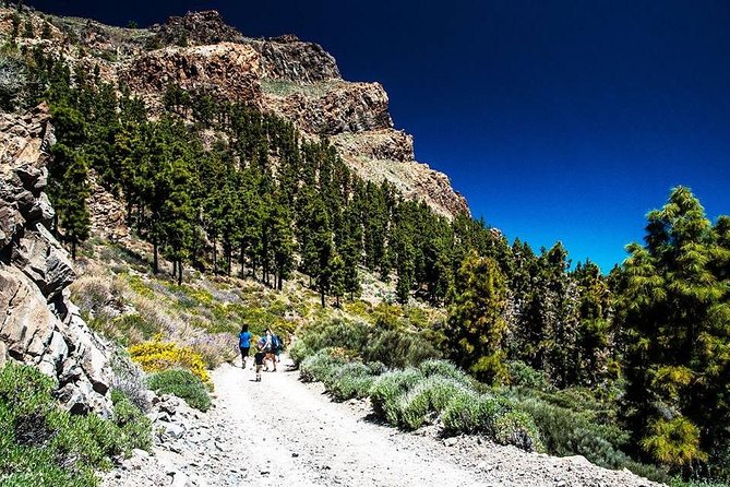 Guided Hike - The Tajinaste Trail - Who this hike is best for