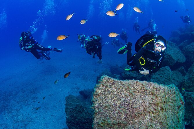 Guided Immersion from Santa Cruz de Tenerife - Radazul Bay: what makes this Tenerife setting so practical