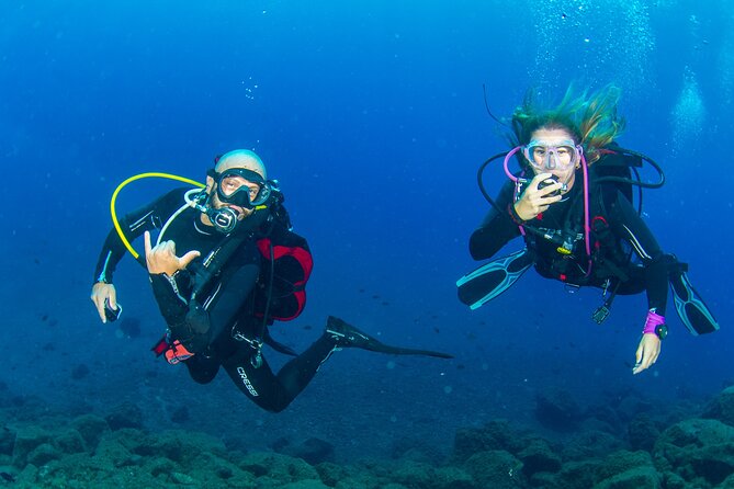 Guided Immersion from Santa Cruz de Tenerife - The in-water session: 30 to 45 minutes matched to your certification