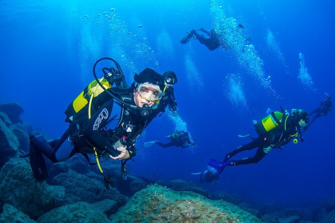 Guided Immersion from Santa Cruz de Tenerife - Macaronesian Divers in Santa Cruz de Tenerife: meeting point and first impressions