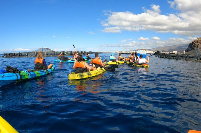 Guided Kayak Tour From Los Cristianos Beach Tenerife - Quick Key Points Before You Go
