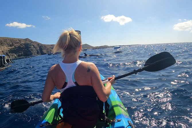 Guided Kayak Tour From Los Cristianos Beach Tenerife - Safety and Sea Conditions: When the Tour Adjusts (and When It Doesn’t)