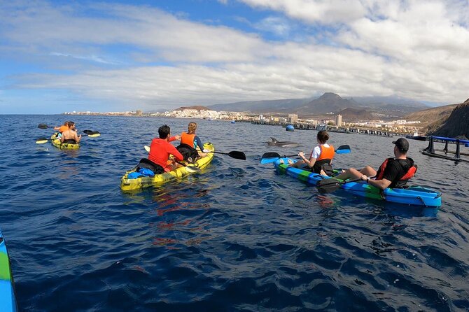 Guided Kayak Tour From Los Cristianos Beach Tenerife - Who This Tour Fits Best (and Who Might Want a Different Day)