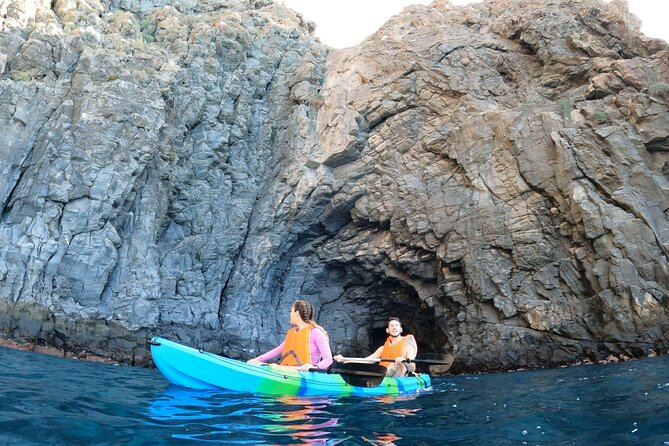 Guided Kayak Tour From Los Cristianos Beach Tenerife - The Fish Farm Segment: Wildlife Watching Without the Chaos