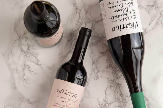 Guided Tour with 6 Wine Tasting - Inside the Winery: Architecture Meets Methods and Quality