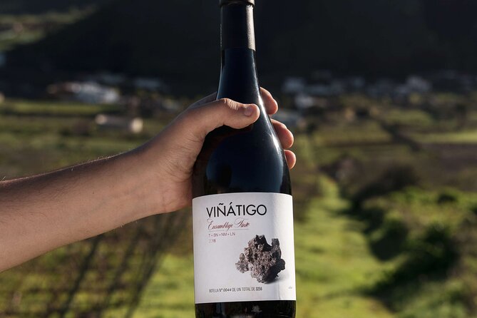 Guided Tour with 6 Wine Tasting - The Commented Tasting of 6 Wines: What to Pay Attention To
