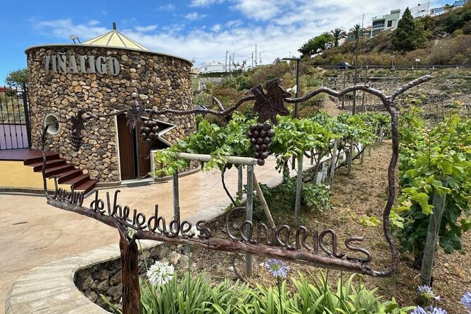 Guided Tour with 6 Wine Tasting - Meeting at Bodegas Viñátigo and What the Pacing Feels Like