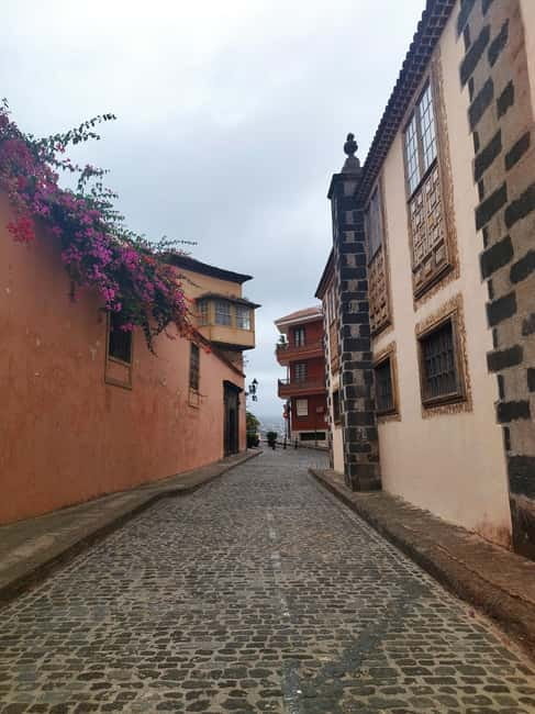 Guided walking tour in La Orotava 1:30 min, Tenerife - Timing and walking comfort: what to expect in real life