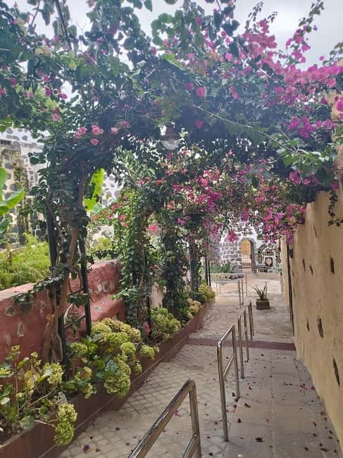 Guided walking tour in La Orotava 1:30 min, Tenerife - Ayuntamiento and the Square: Canarian Paintings Plus Volcanic-Soil Carpets