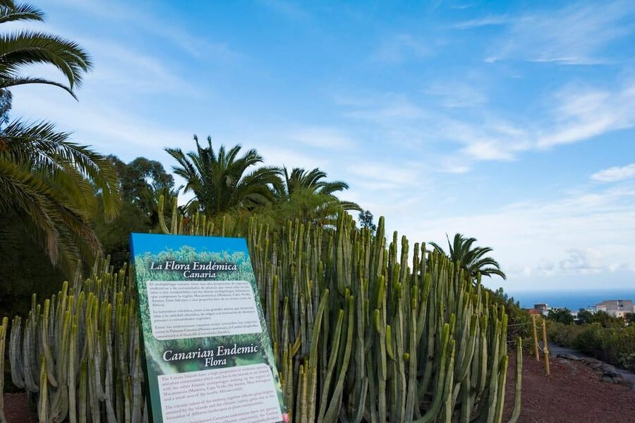 Guïmar: Pyramids of Güímar Ethnographic Park Entry Ticket - Sun alignment and key astronomical dates: do you need to plan ahead?