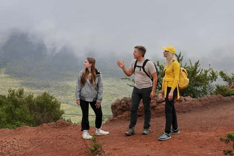 Hike above Masca through relict woods. SMALL GROUPS. - Key highlights you’ll actually feel on the hike
