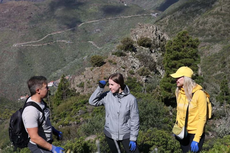 Hike above Masca through relict woods. SMALL GROUPS. - Small groups and an attentive guide: what changes in practice