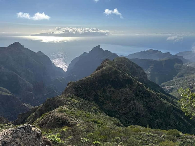 Hike above Masca through relict woods. SMALL GROUPS. - The relict laurel forest finish: the coolest part of the day