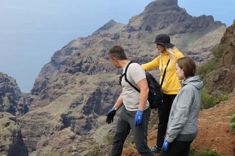 Hike above Masca through relict woods. SMALL GROUPS. - How hard is it: distance, elevation, and caution spots