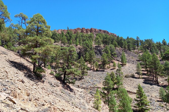 Hiking in Tenerife's Great Outdoors - What you’ll learn while you hike (not just where you’ll hike)