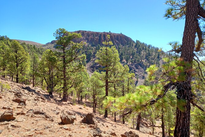Hiking in Tenerife's Great Outdoors - Photo stops that don’t feel rushed