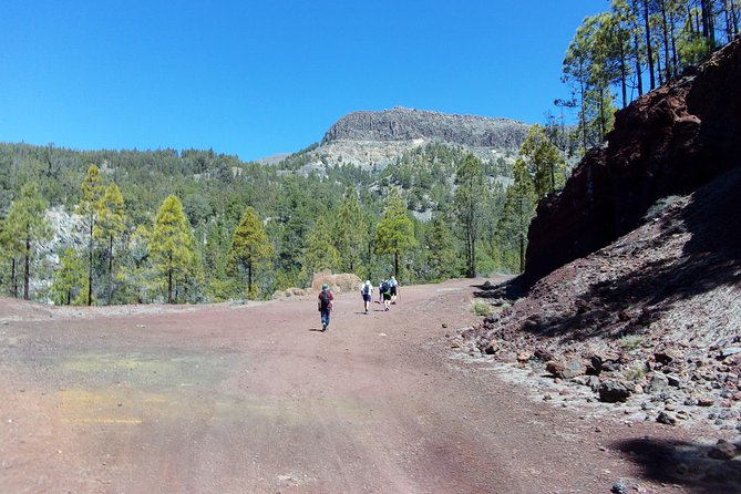 Hiking in Tenerife's Great Outdoors - What’s included, what’s not, and how to pack smart