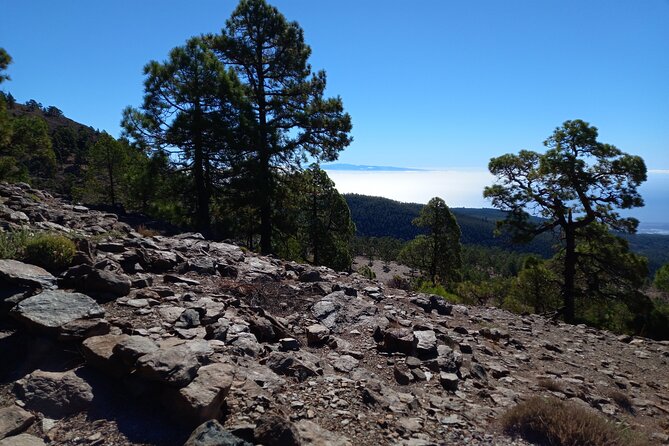 Hiking in Tenerife's Great Outdoors - Small-group hiking and Andy-style guiding