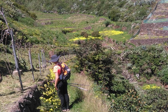 Hiking tour in the Anaga biosphere reserve in Tenerife - Walking time, distance, and how the route usually feels
