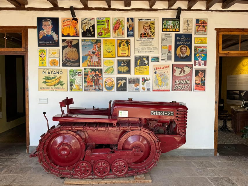 Icod de los Vinos: Casa del Plátano Entry Ticket - Key highlights to know before you go