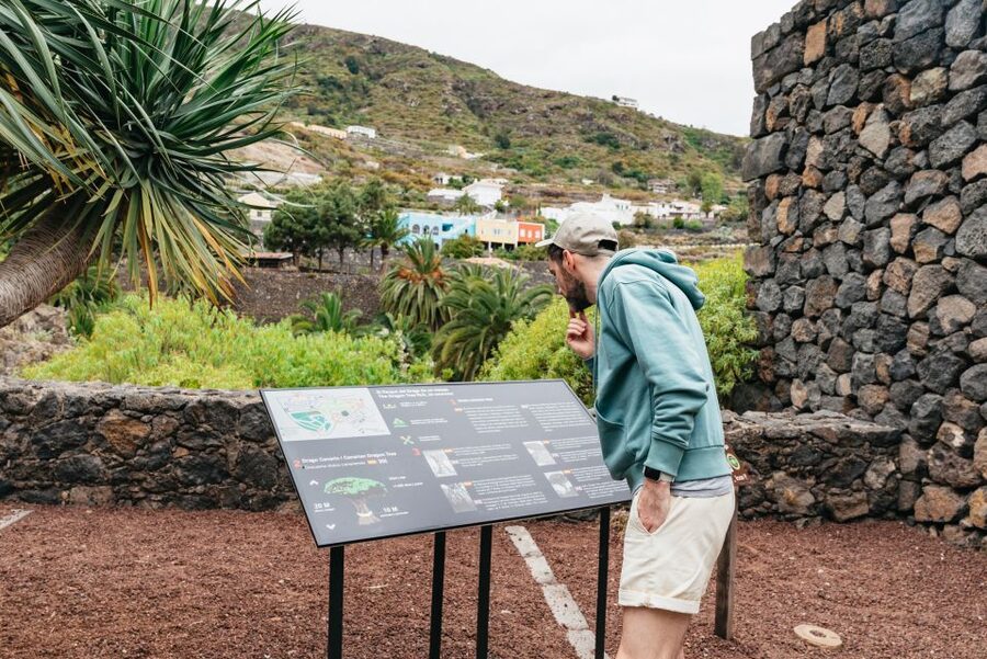 Icod de los Vinos: Dragon Tree & Botanical Garden Ticket - Price and value: $5 is the headline, but here’s what you’re really paying for