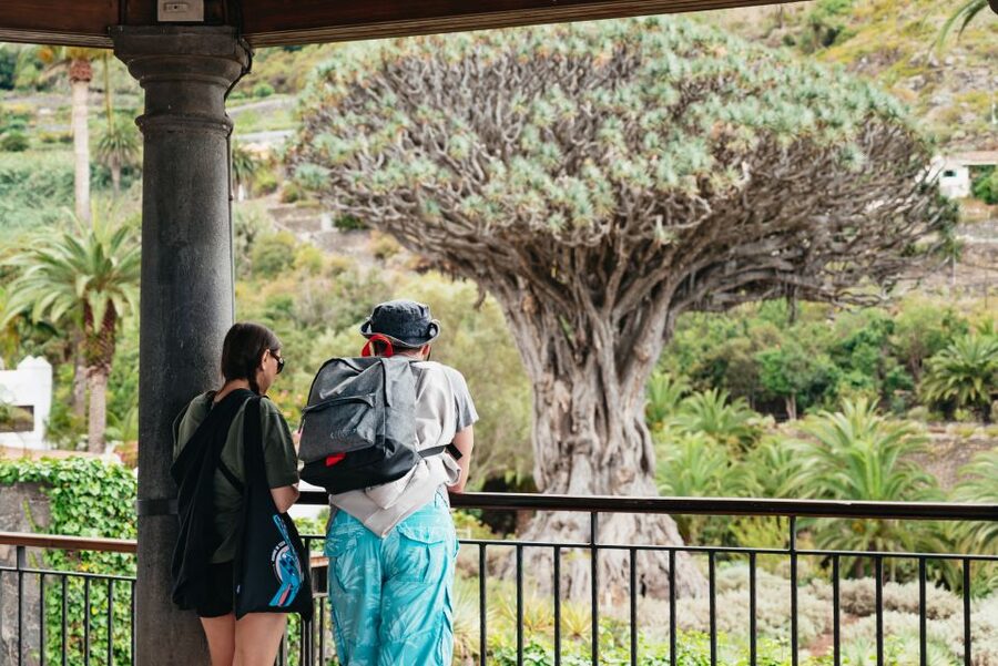 Icod de los Vinos: Dragon Tree & Botanical Garden Ticket - Comfort tips: shoes, sun, and the park rules