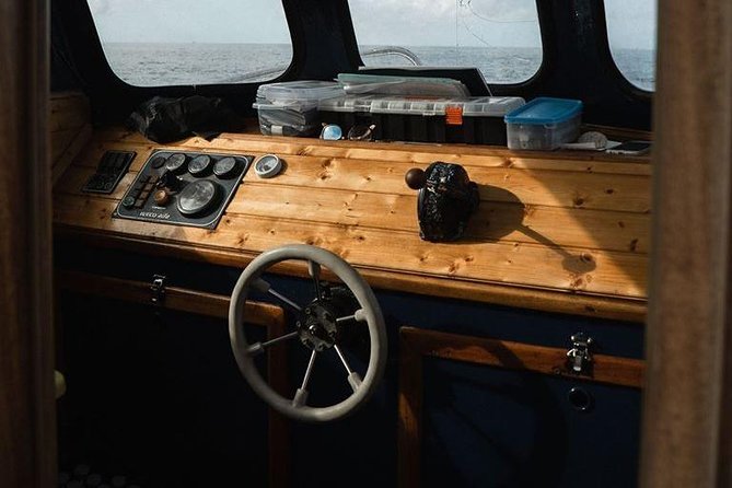 Immersion Certified Diver - The underwater experience: fish, seabirds, and invertebrates