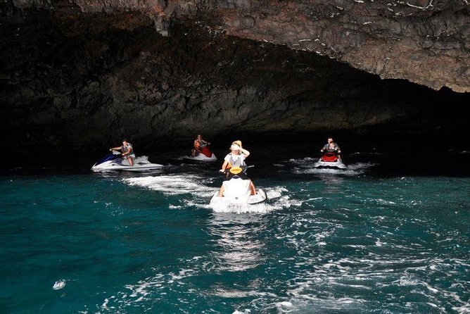 Jet Ski Safari South Tenerife - The Wildlife Angle: Dolphins, Whales, and How to Handle Not-Seeing Anything