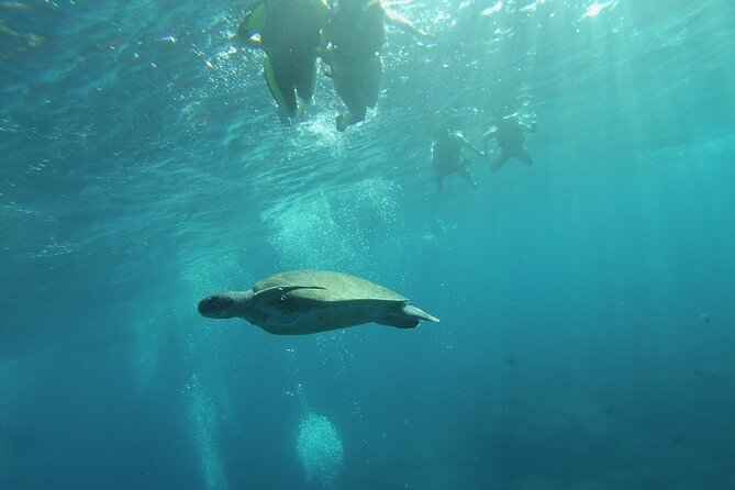 Kayak Route along the Volcanic Coast in Tenerife South with Snorkeling - What to bring: sun protection, footwear, and a phone plan