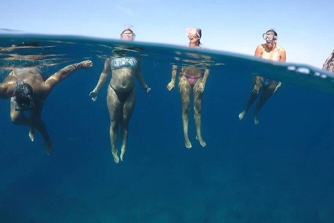 Kayak Safari with Dolphin and Turtle Watching in Guaza - Snorkeling gear included: a plus, but not a guarantee of perfect visibility